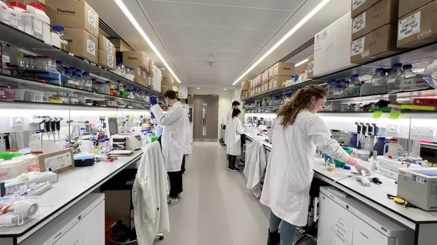 Researcher working in the Lab