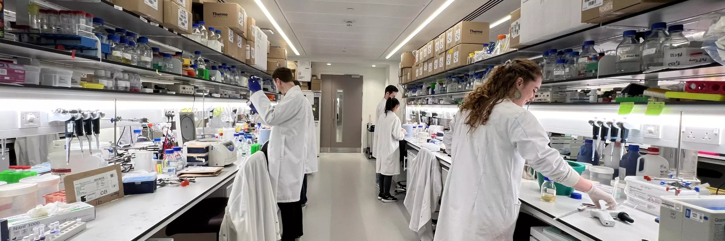 Researcher working in the Lab