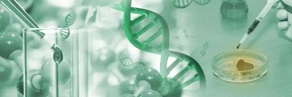 banner image showing some scientific visuals.